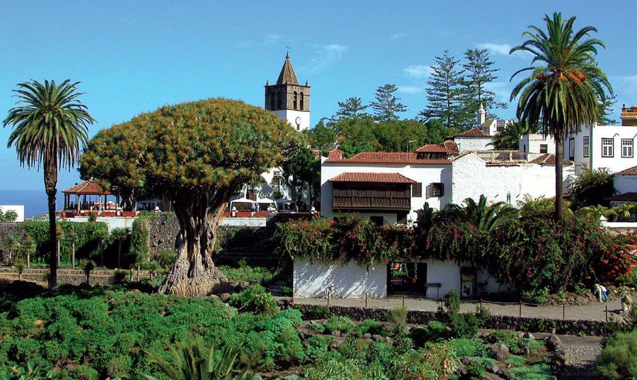 Apartamento Monis Natura Icod De Los Vinos Exterior foto